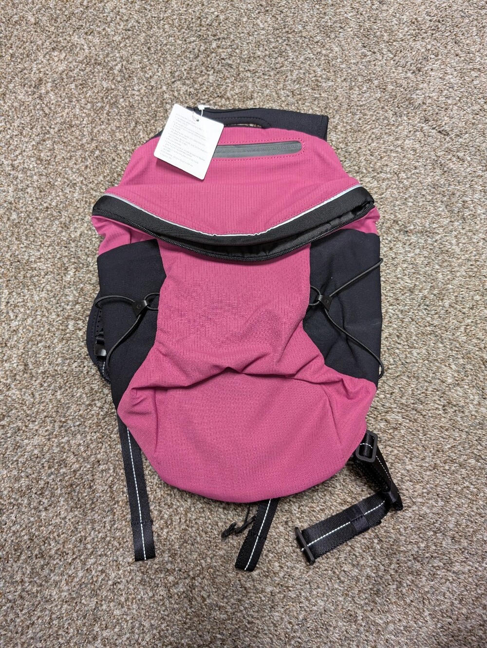 Lululemon Run All Day Backpack